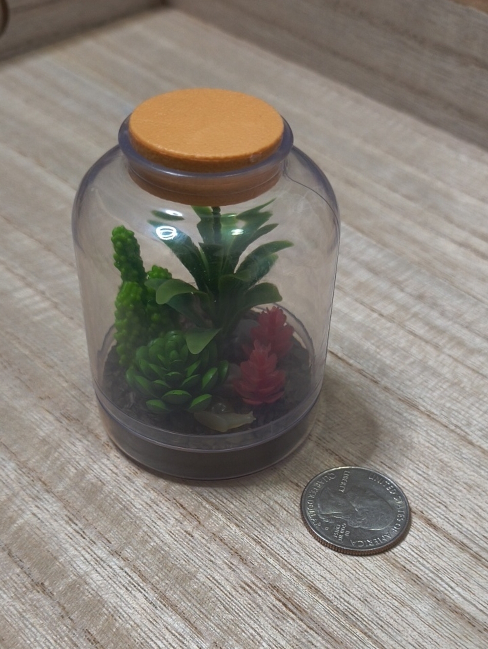 Zuru Mini Brands Create Garden Terrarium